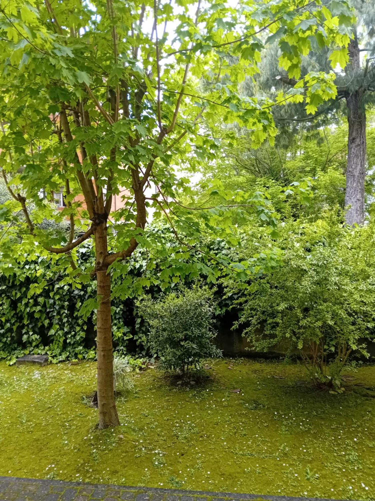 Casa Vacanze Lida Марина-ди-Каррара Экстерьер фото